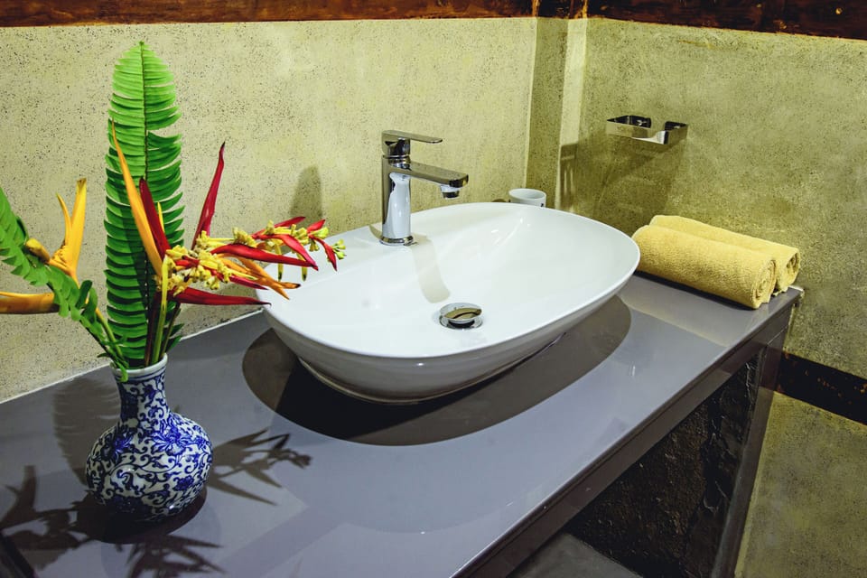 Deluxe Double Room, Garden View | Bathroom | Shower, hair dryer, slippers, bidet