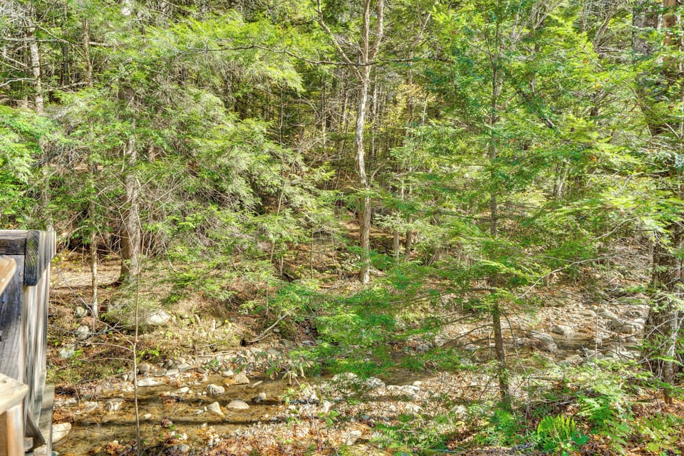 Surrounding Area