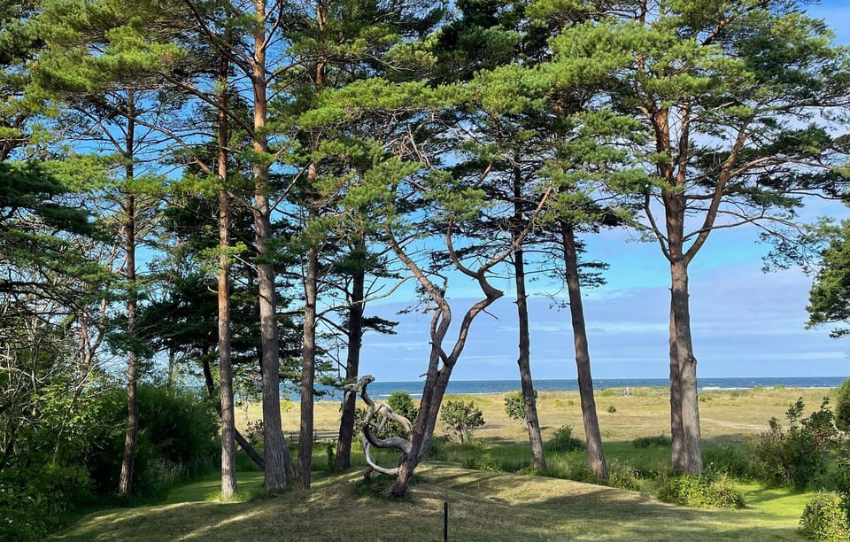 view-from-room
