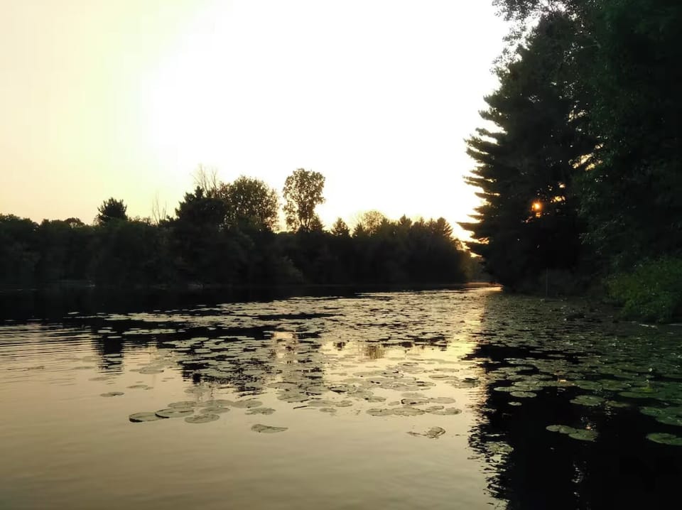 View of lake and island from the dock