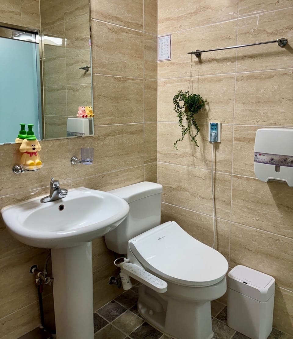 Hair dryer, bidet, towels, shampoo