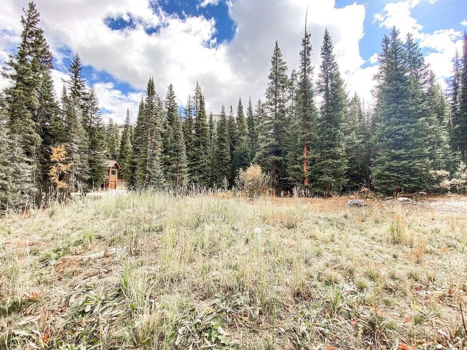 Open space behind the home with a small creek running through it
