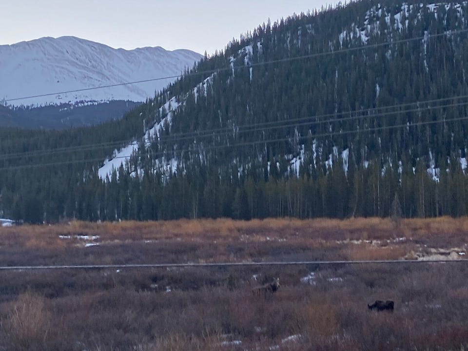 Located just south of Downtown Breckenridge, this home offers the perfect balance of quiet mountain surroundings and quick access to the town's restaurants, shops, and ski lifts.