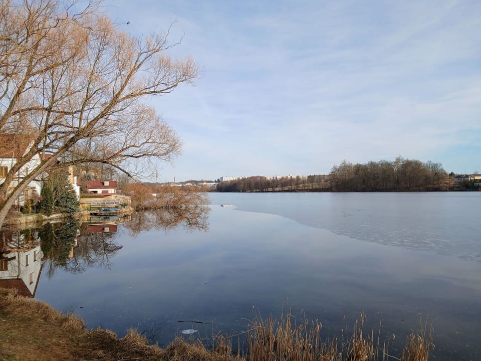 Water Resources, Water, Body Of Water, Waterway, Branch, Bank, Natural Landscape, Watercourse, Channel, Reflection