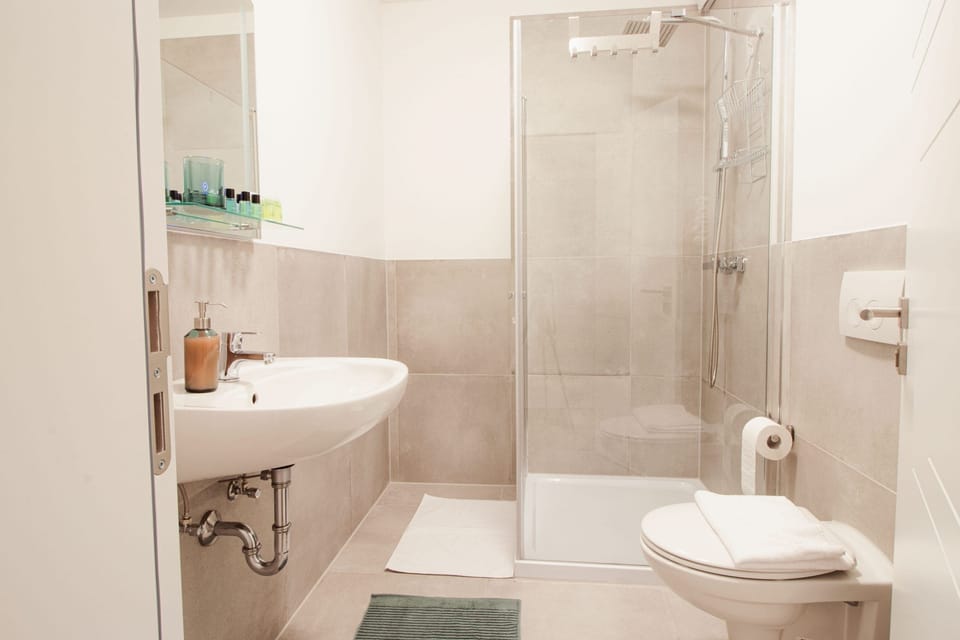 Business Double Room, 1 Bedroom, Non Smoking, Air conditioning | Bathroom | Shower, hair dryer, towels, soap