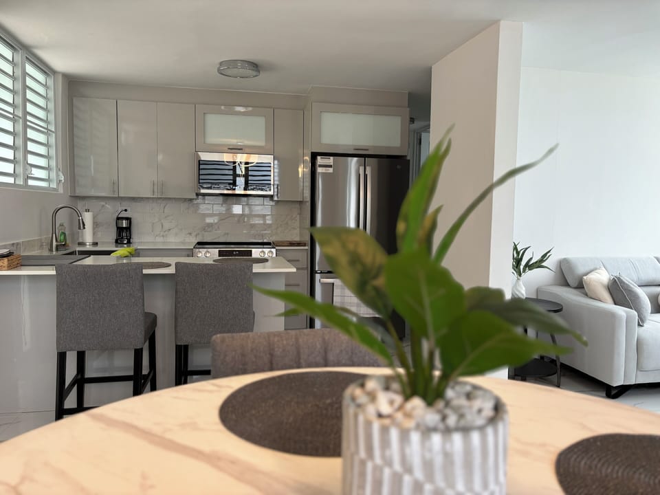Fully remodeled kitchen on an open concept layout