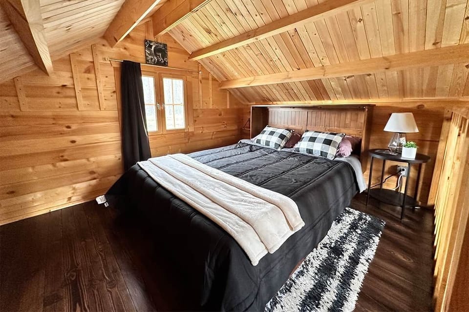 BB Loft 2024