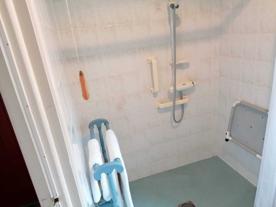 Downstairs walk-in shower and toilet