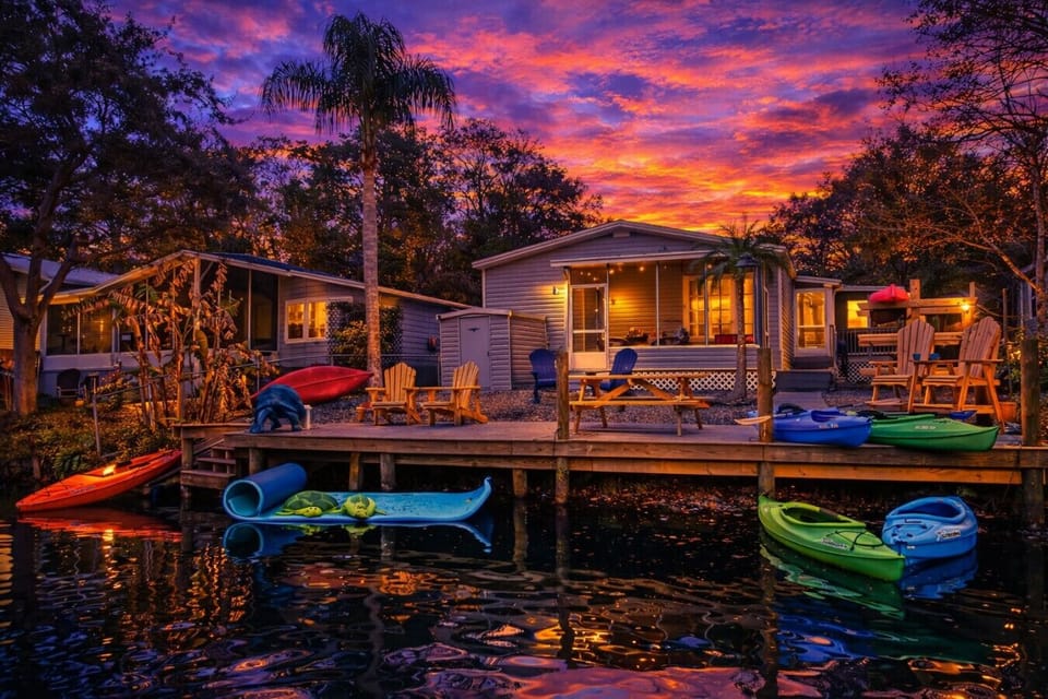 Welcome to the Teal Turtle!