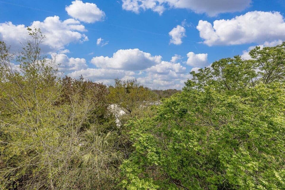 Tree-lined views from the house