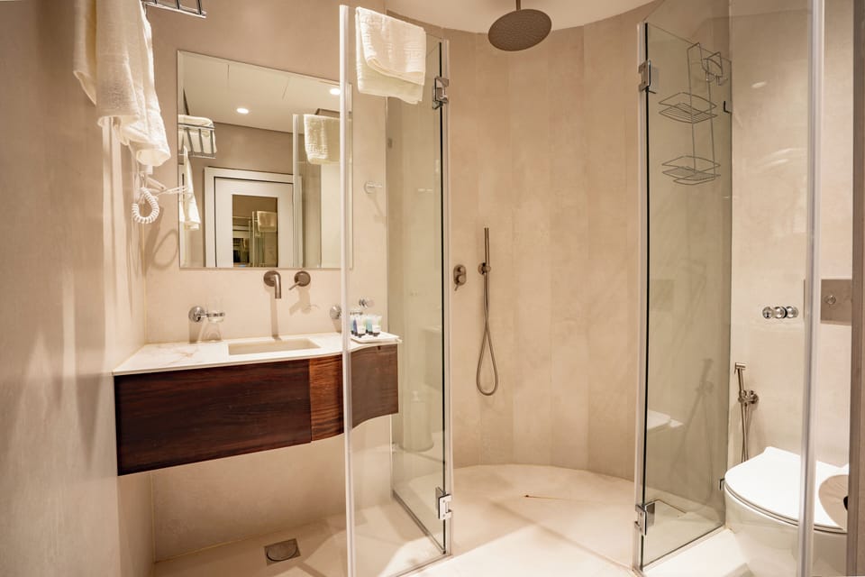 Shower, hair dryer, bidet, towels