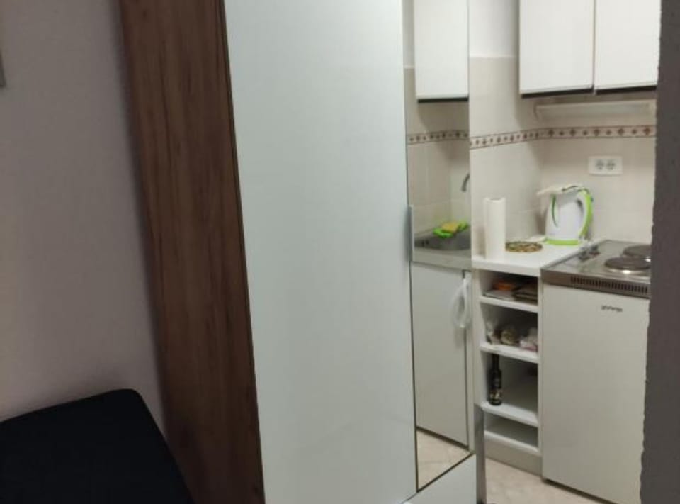 Studio (Studio Apartment Sineva) | Private kitchen | Fridge