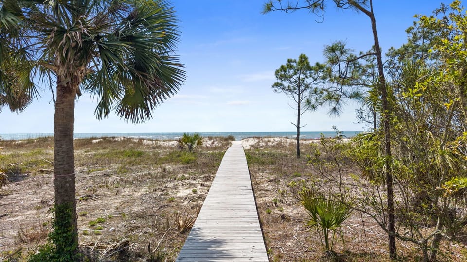 A wooden boardwalk winds through natural coastal landscape, leading to pristine beach access surrounded by native palms and vegetation.