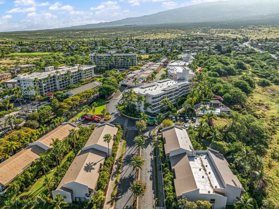Aerial view of the property