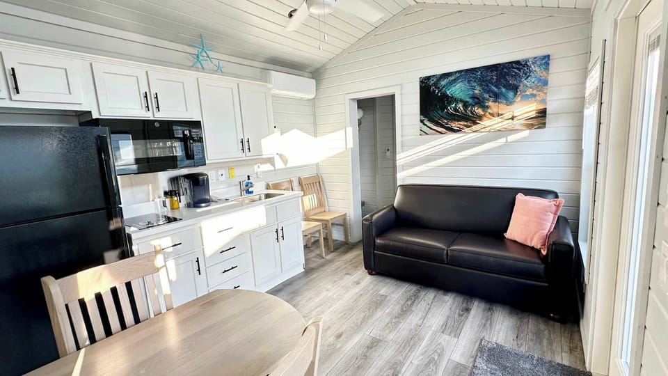 Main Living Area - Kitchen - TV with Roku & Couch that folds out to Full size Bed
