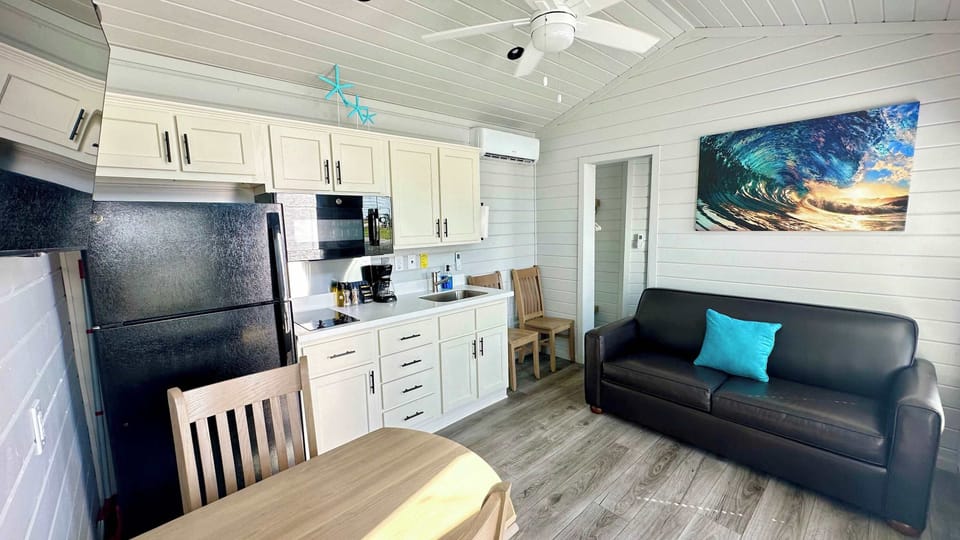 Main Living Area - Kitchen - TV with Roku & Couch that folds out to Full size Bed