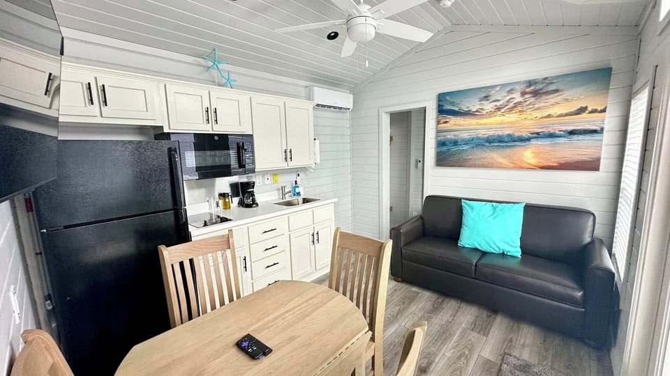 Main Living Area - Kitchen - TV with Roku & Couch that folds out to Full size Bed