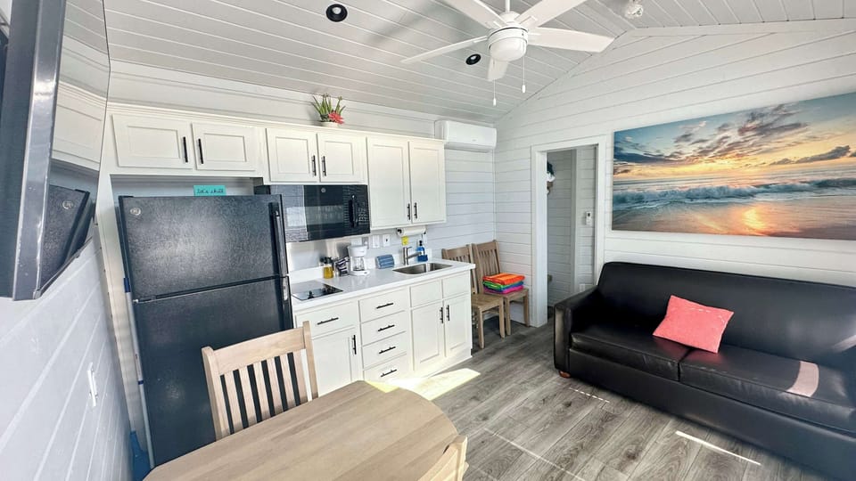 Main Living Area - Kitchen - TV with Roku & Couch that folds out to Full size Bed