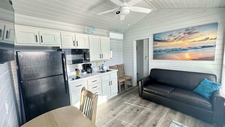 Main Living Area - Kitchen - TV with Roku & Couch that folds out to Full size Bed