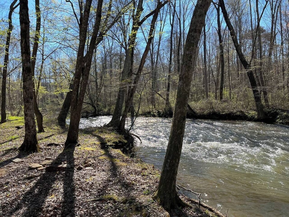 F4888e12 29ac 47ff 8a8e 61ef7aa1ba58