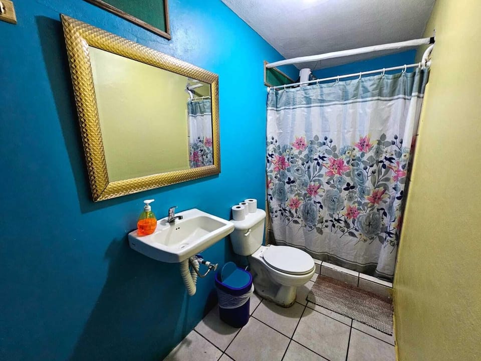 Classic Room | Bathroom | Shower, free toiletries, towels, soap