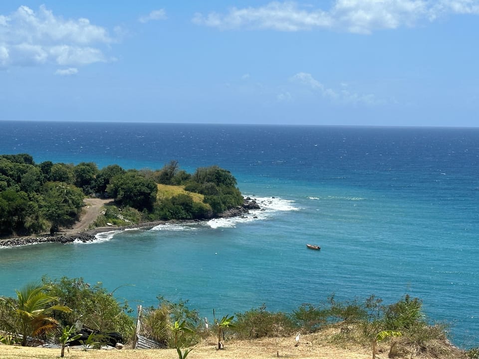 Palmetto Bay (View from verandah)
