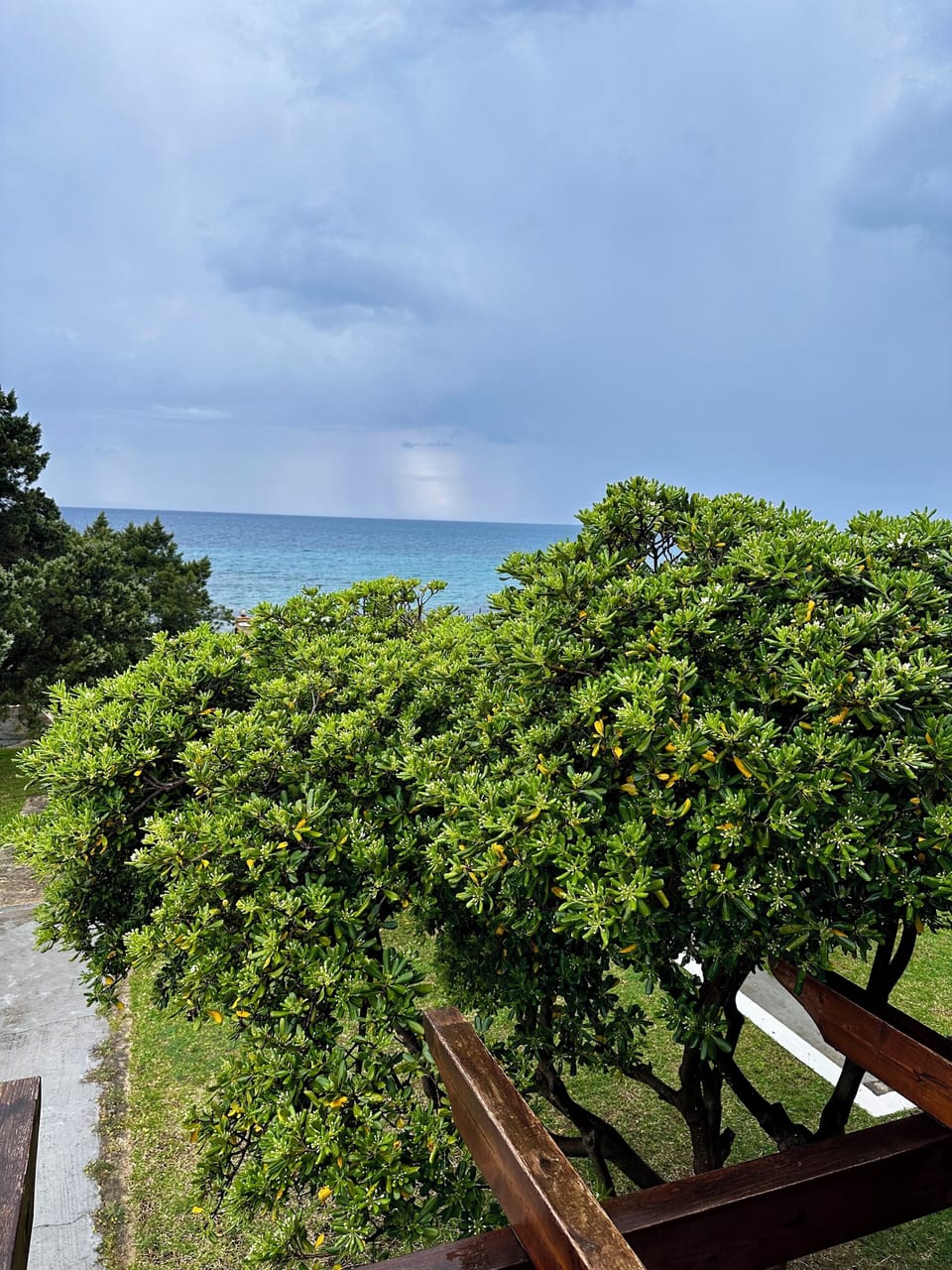 View from property
