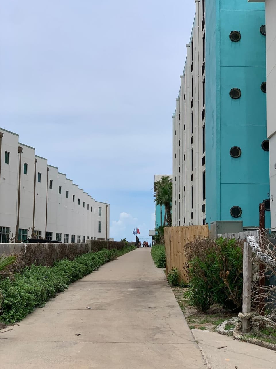 Beach Access Path
