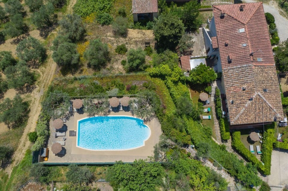 Swimming Pool, Resort, Outdoor Furniture, Hacienda, Estate, Eco Hotel, Villa, Umbrella, Resort Town, Thermae
