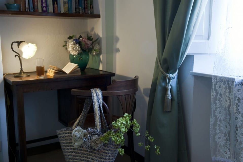 Interior Design, Furniture, Lighting, Home, Room, Curtain, Flowerpot, Window Treatment, Window Covering, Houseplant