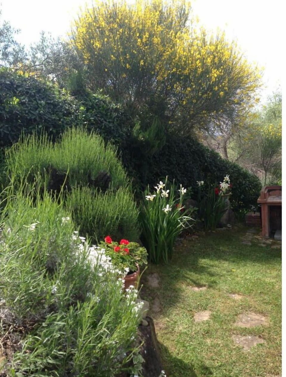 Autumn, Garden, Spring, Summer