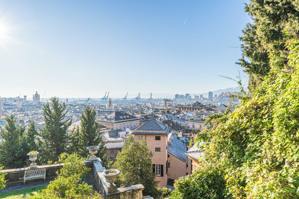 City view from property