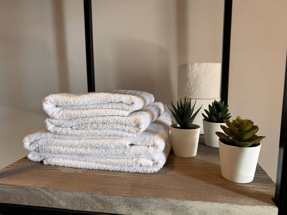 Classic Double Room | Bathroom amenities | Shower, hair dryer, towels, soap