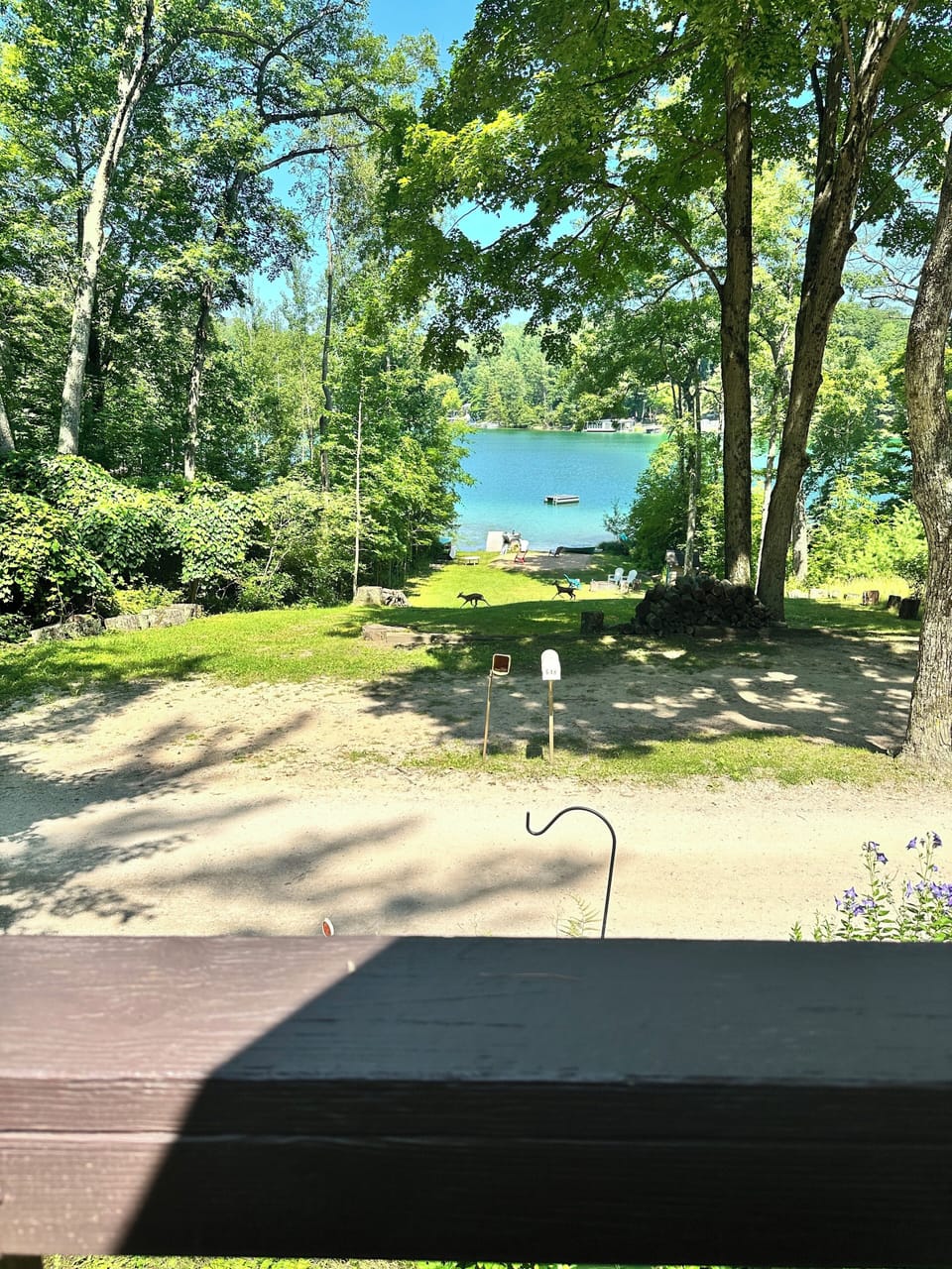 View from property