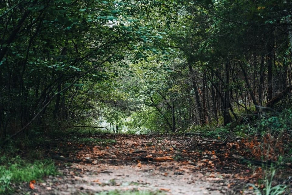 Lace up your boots and wander the golden trails. Fall hiking here means crunchy leaves underfoot and endless woodland views.