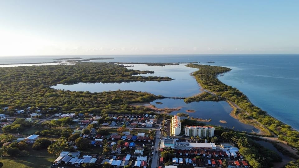 Combate From the Air
