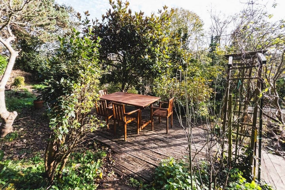Terrace in the garden