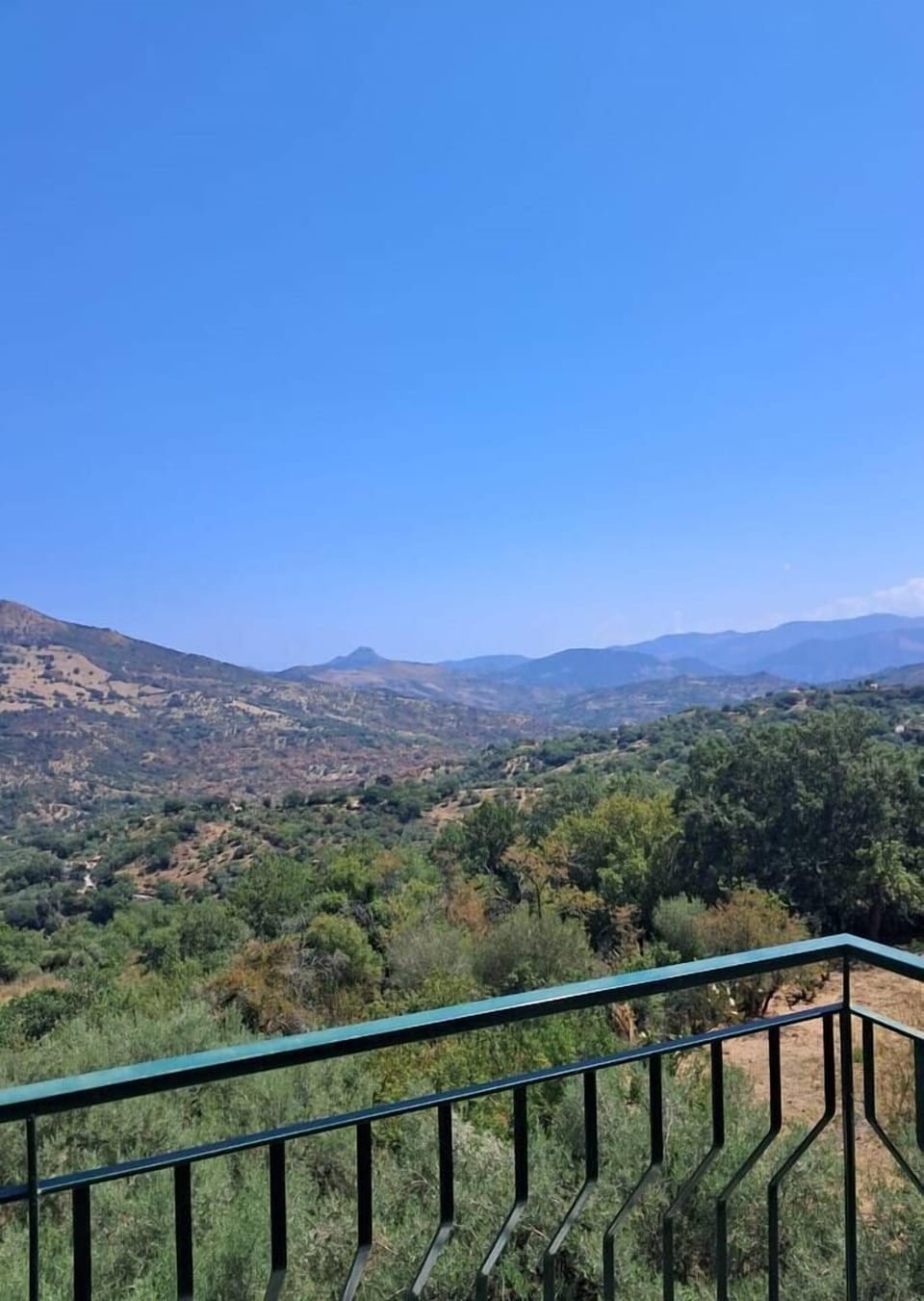 Mountain Views