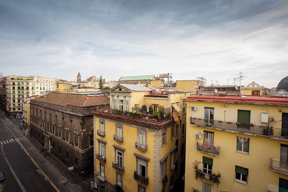 Superior Room, City View | View from room