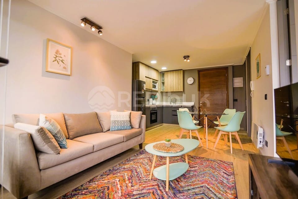 Basic Apartment | Living area | TV