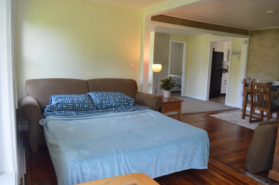 Living Room Sofa Sleeper- Double bed
