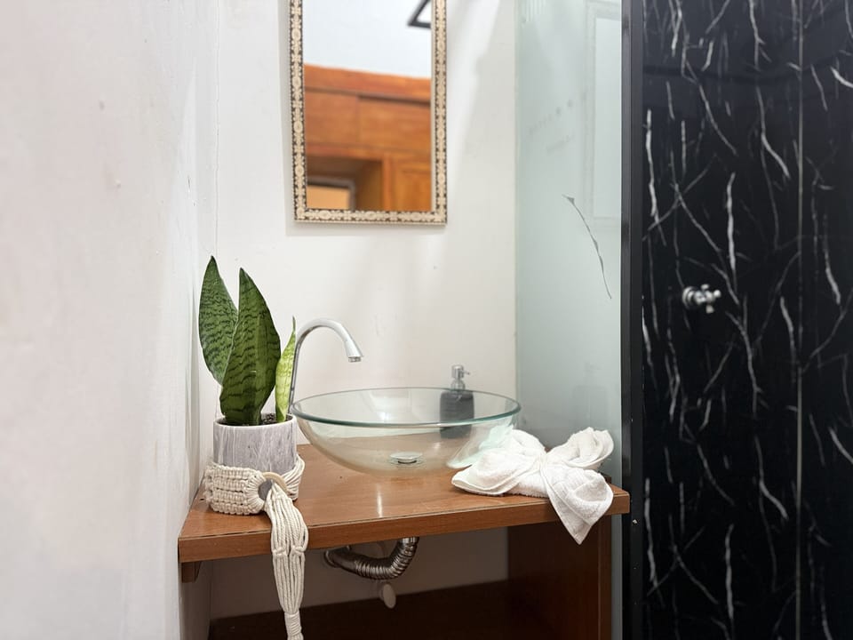 Classic Room | Bathroom | Shower, hair dryer, towels, soap
