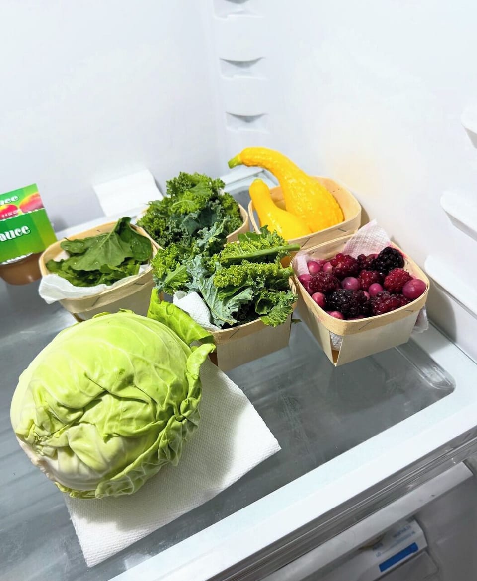 Fresh harvest! Cabbage, Kale, Arugula, squash, pink lemonade blueberries!