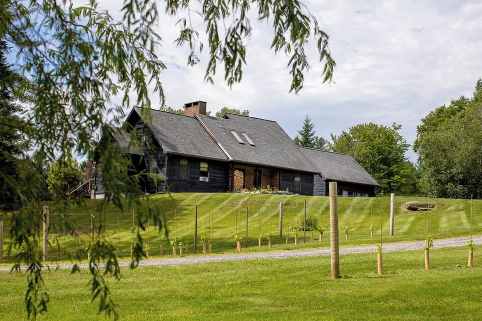 Enter onto the property via the driveway with a small Vineyard flanking each side.