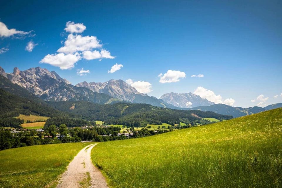 Region [summer] (>5 km)