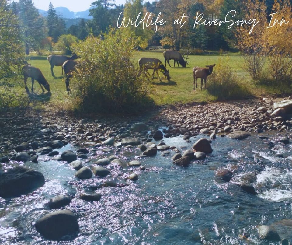 RiverSong Inn in Estes Park Colorado