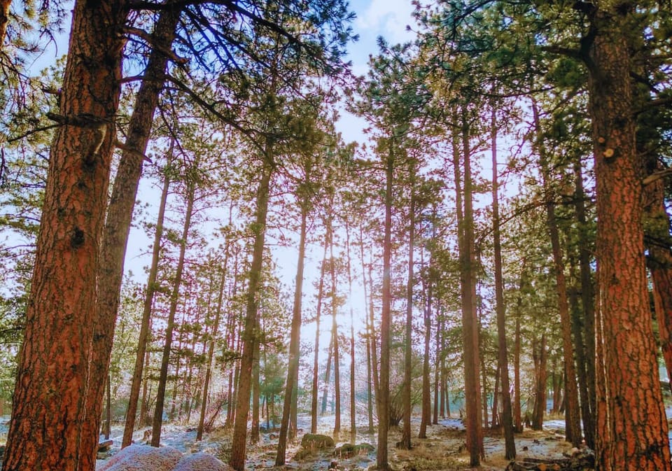 Riversong20Inn20Retreat20-20Estes20Park2C20CO207120-20Copy