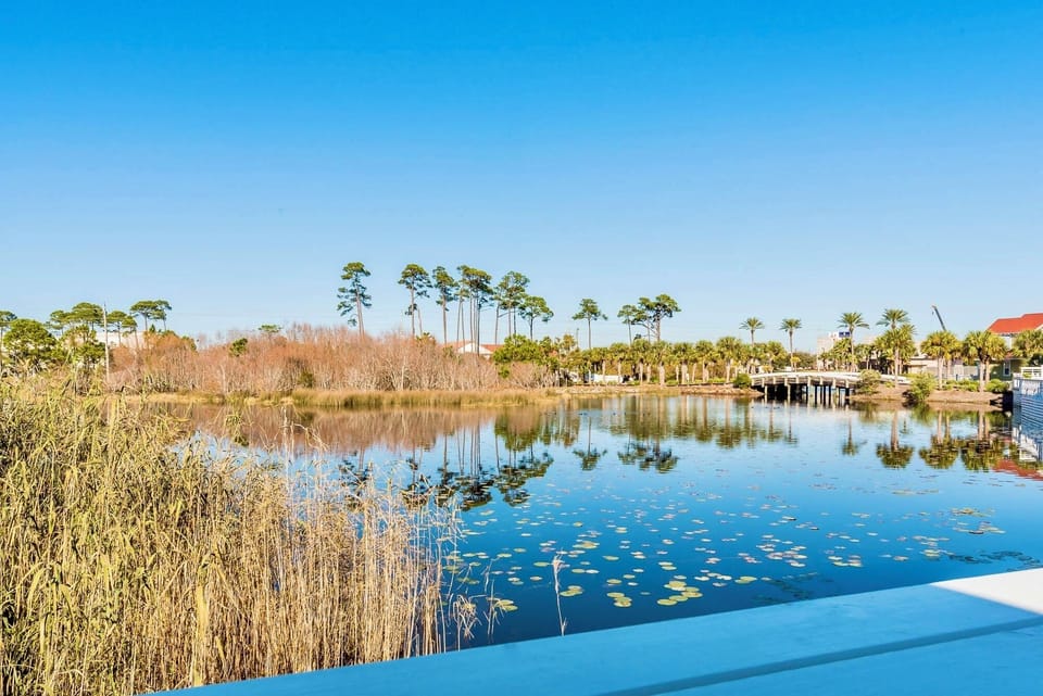 Pool deck with private heated pool, lounge chairs, outdoor dining table, a gas grill, and views of the pond!