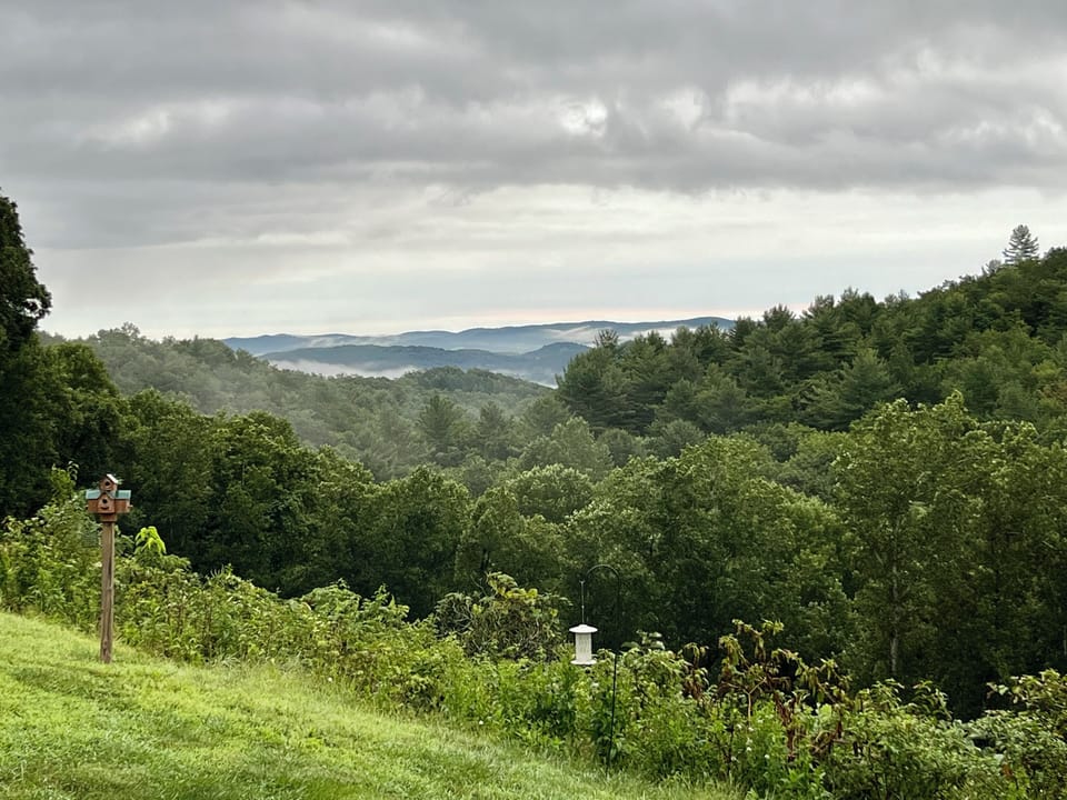 View from property