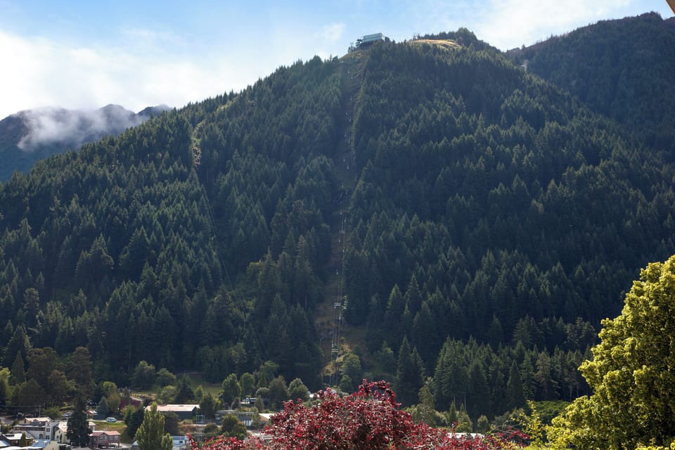 View5